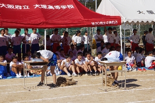 平成30年度　大塚祭　体育の部　平成30年9月28日　写真70