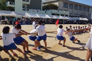 平成30年度　大塚祭　体育の部　平成30年9月28日　写真79